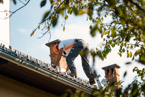 Best Residential Roof Replacement  in Ely, NV