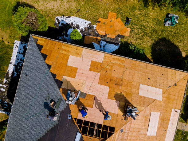 Best Roof Gutter Cleaning  in Ely, NV