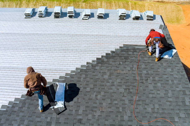 Roof Gutter Cleaning in Ely, NV